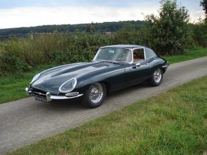 jaguar-300x225
